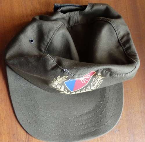 ## Natal Command Workshop Cap (pet) ##