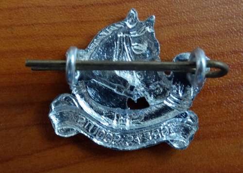 Rhodesia Grey Scouts Iodized badge