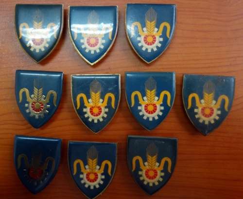 SADF Quartermaster Shoulder flash. All pins intact