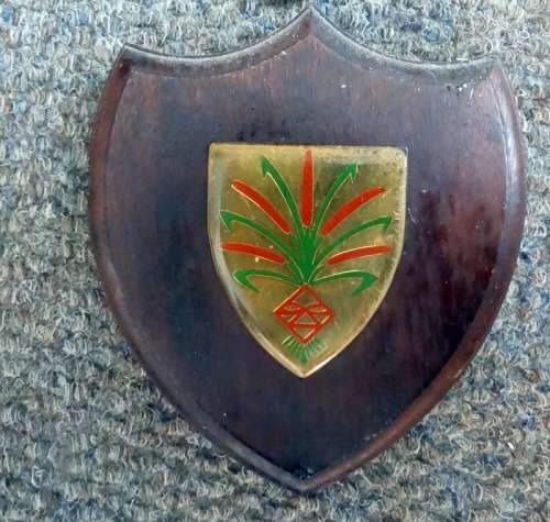 SWA Plaque to SADF Kolonel