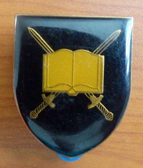 SWA Military School Smaller Type Flash. Pins intact