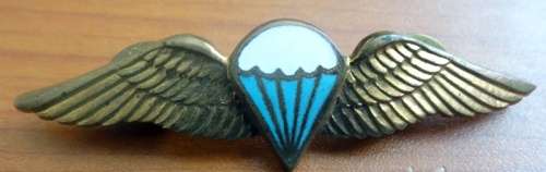 SADF Airforce badge. Pins intact