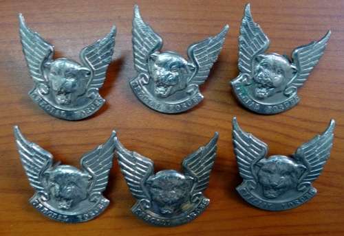 6 TRANSKEI SPECIAL FORCES CAP BADGE. PINS INTACT.