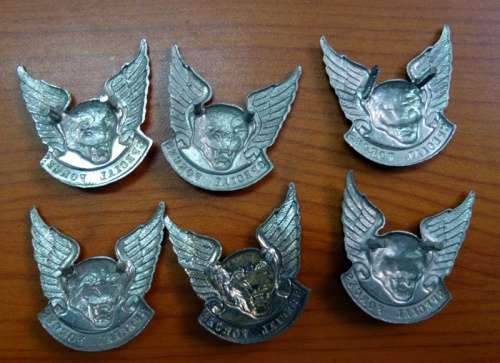 6 TRANSKEI SPECIAL FORCES CAP BADGE. PINS INTACT.