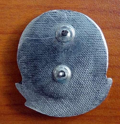 Sadf 31 Battalion Swaft Badge 3cm