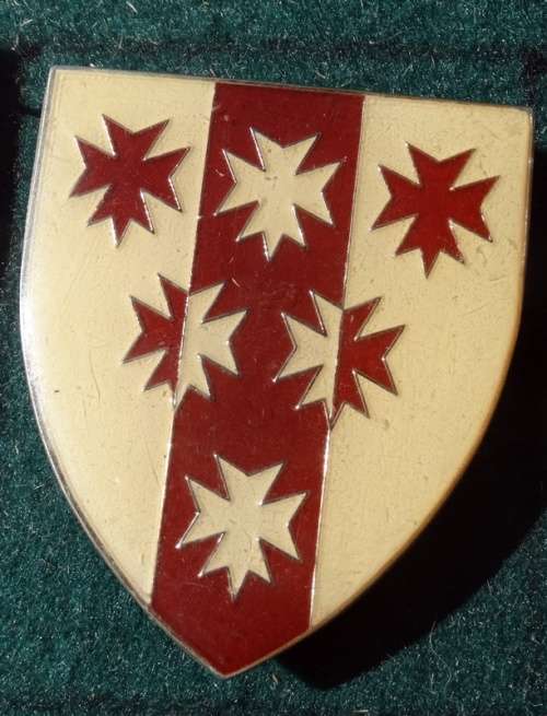 6 Medical Group Battalion Flash. Pins intact (20)