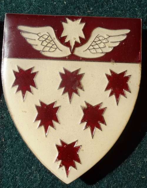 7 Medical Group Battalion Flash. Pins intact (21)