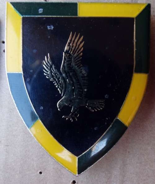 SADF 118 Battalion  Pins intact (96)