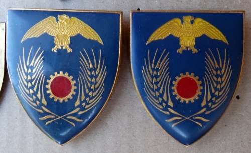 Pair Of SADF Gauteng Command Maintenance Pins intact (99)