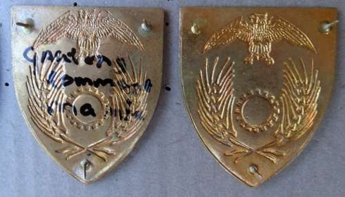 Pair Of SADF Gauteng Command Maintenance Pins intact (99)
