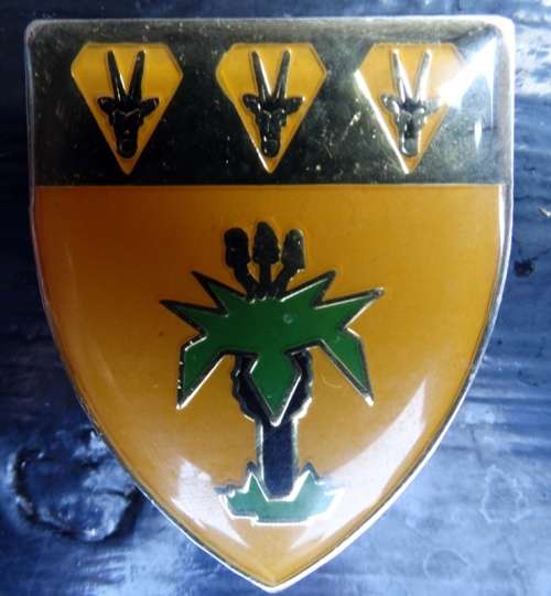 SADF Sector 40 HQ Pocket Flash. Pins intact (10)