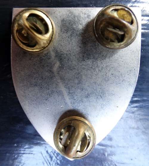 SADF  911 Battalion Pocket Flash. Pins intact (15)