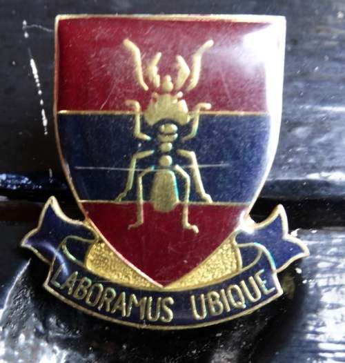 SADF Genie Affiliation Fob. Pins intact (22)