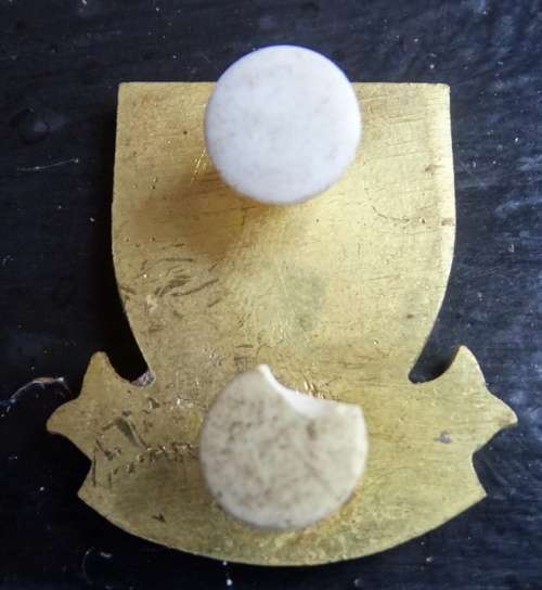 SADF Genie Affiliation Fob. Pins intact (22)