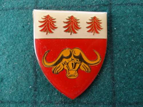 SADF Ben Voster High School Cadets Flashes. Pins Intact (29)