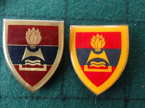 Pair of SADF 2 Field Engineers Variety Flashes Pins Intact (58)