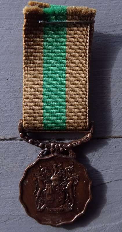SADF 10 Year Service Medal miniature