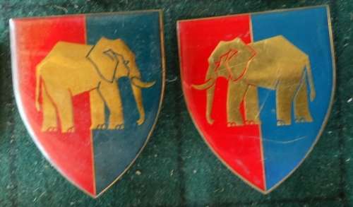 Pair of SADF Eastern Province Command Workshop  Flash. 5 Pins Intact (55)