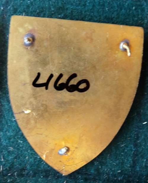 SADF Eastern Province Command Workshop Flash. Pins Intact (65)