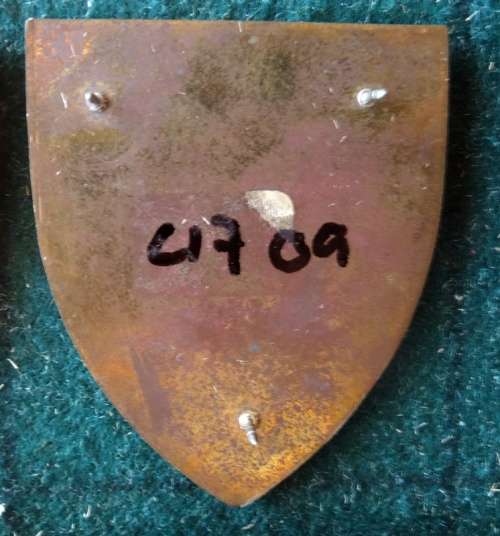 SADF 83 Technical Stores Flash. Pins Intact (74)