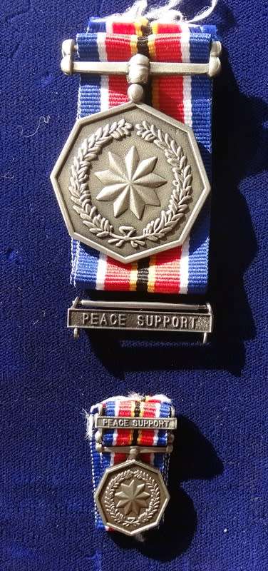 SADF TIM Medal with Miniature and both support bars