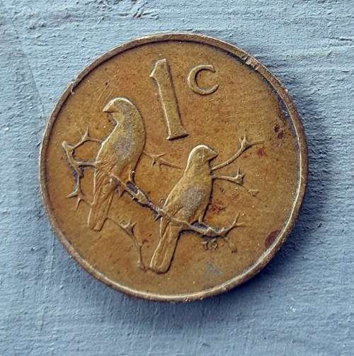 1965 South African 1C English