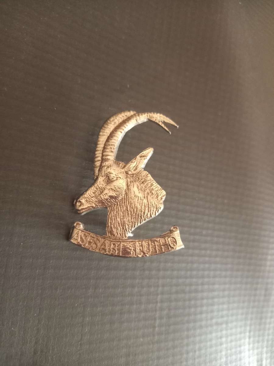 Rhodesian Armoured Car Regiment cap badge. See description