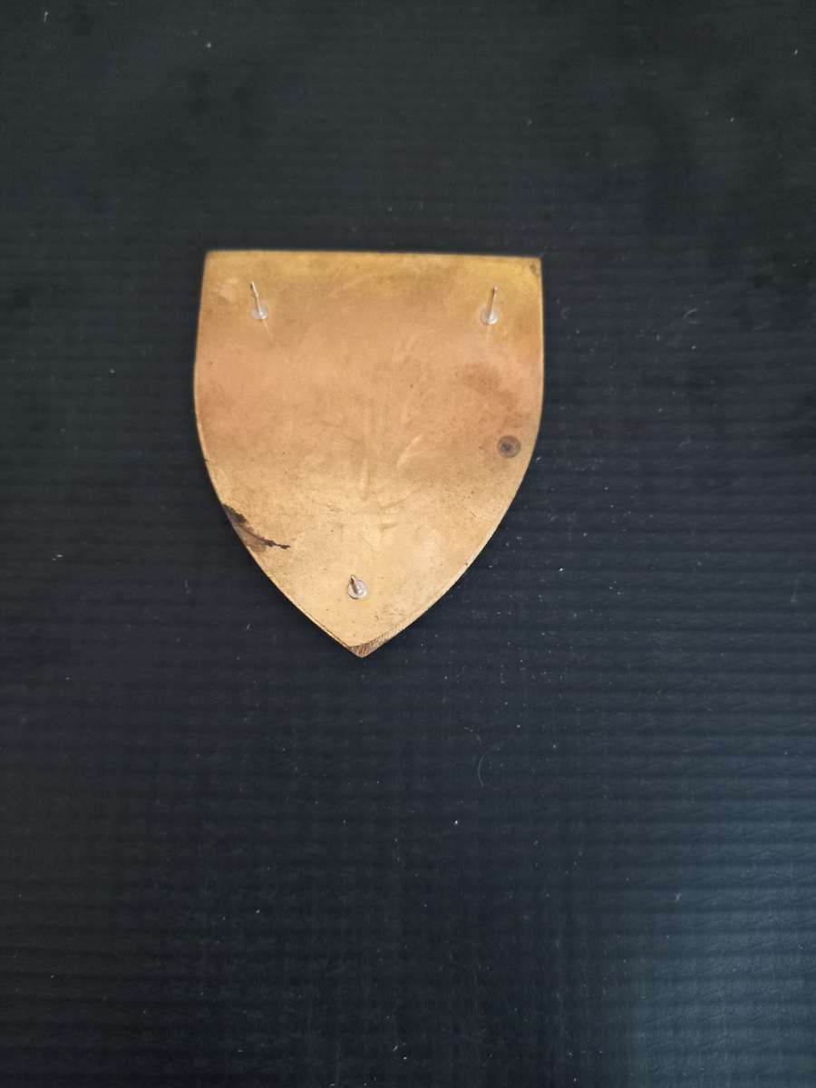 SADF 11 Commando Shoulder Flash pins intact