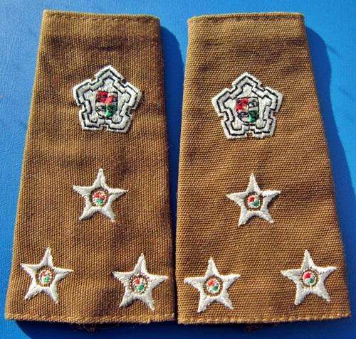 ## Army Brigadier Slip on Flash ##