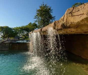 Hazyview Cabanas - Mid Week - 25 Feb to 01 March 2019 - 6 Sleeper