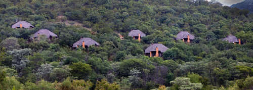 Mid Week - Mabalingwe Nature Reserve - 10 to 14 June 2019