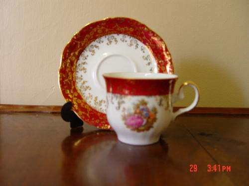 BAVARIA GERMANY CUP AND SAUCER WITH 24KARAT GOLD TRIM