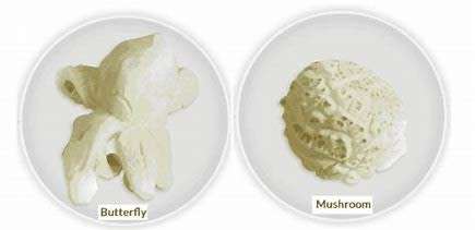 Deluxe Mushroom Popcorn Seeds - GMO FREE - 1kg