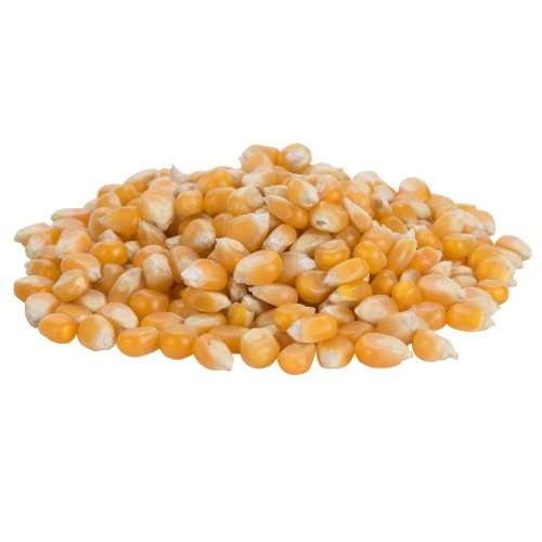 Deluxe Mushroom Popcorn Seeds - GMO FREE - 1kg