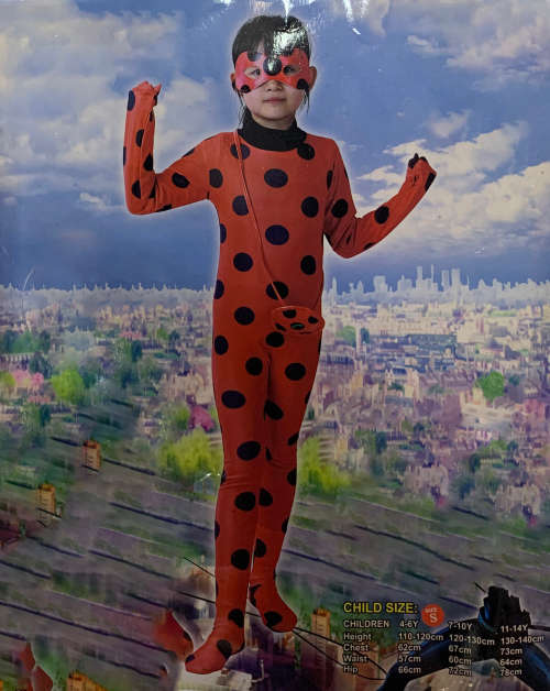 Ladybug Costume