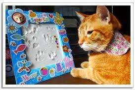 KIT -  MAKE YOU OWN PET'S PAW PRINT