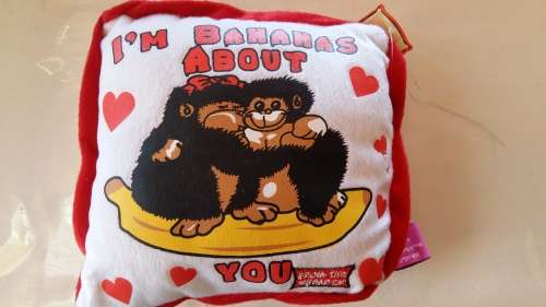 Valentines day pillow