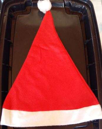 Christmas hat