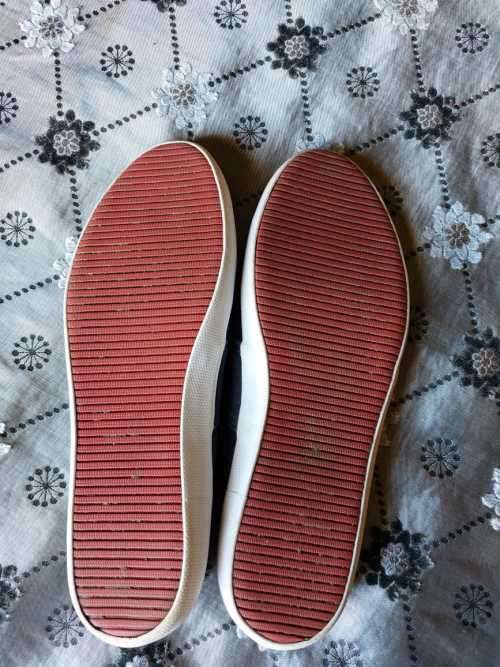 Lacoste Men's Marice Canvas Slip-ons