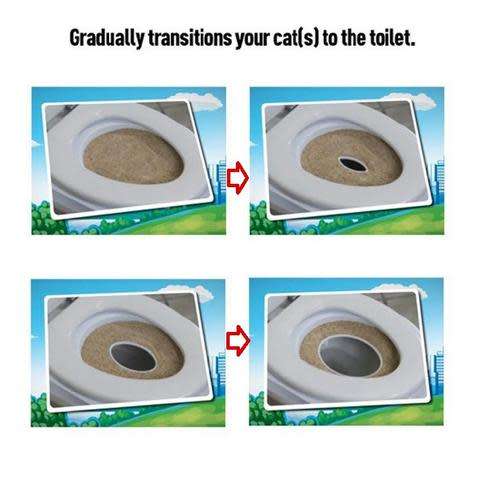 CAT TOILET TRAINING KIT