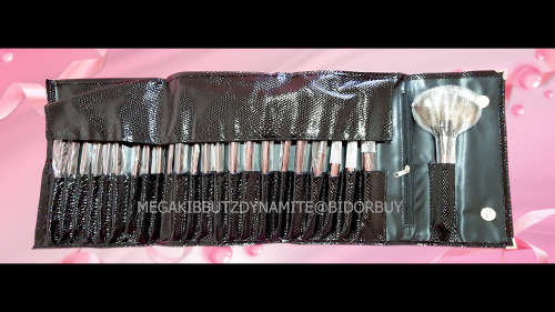 PROFESSIONAL MAKE-UP BRUSH SET WITH CROCODILE PU LEATHER STORAGE ORGANIZING POUCH 24 PIECE SET