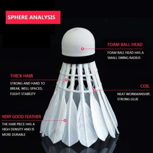 BADMINTON RACKET SET WITH 6 FEATHER SHUTTLECOCKS / SPORT / FAMILY / SOCIAL / HEALTH / ACTIVITY