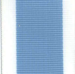 Ribbon full size SANDF Silver Leopard 15cm