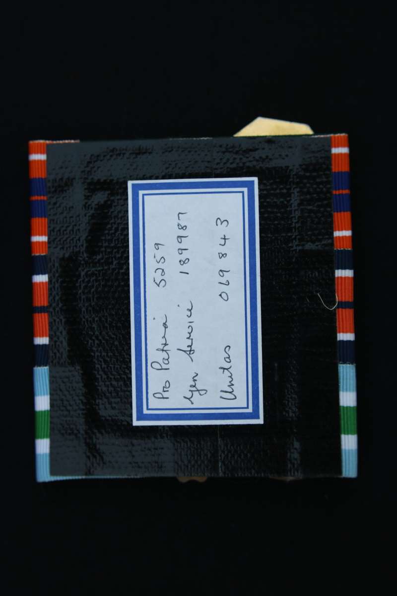 Trio: Pro Patria (Low number #5259), General Service and Unitas Medals EF