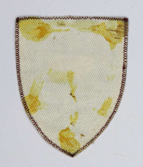 Women's College cloth flash