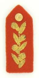 SADF - Bullion General Mess Dress Gorget