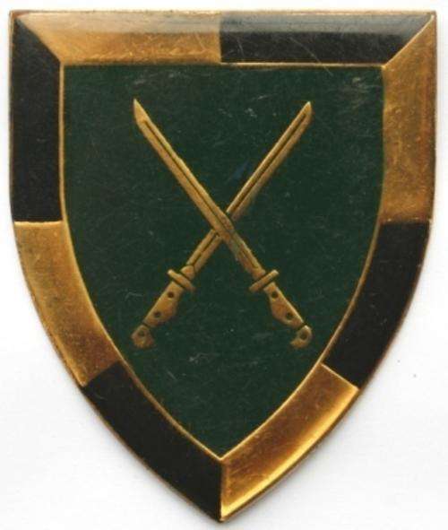 South Africa Infantry School Metal Arm Flash