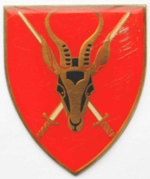 South Africa Army Headquarters Metal Arm Flash