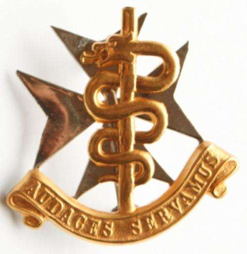 South African Medical Services Bi-Metal Beret Badge
