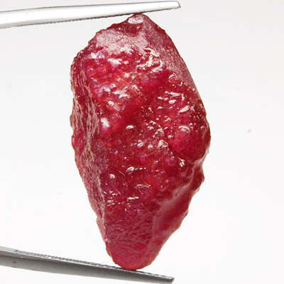 MASSIVE 49.80 ct ROUGH TOP BLOOD RED NATURAL RUBY - FULL OF SPARKLE